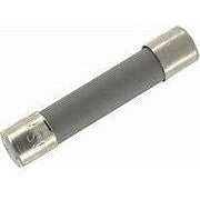 2A 250V Fast Blow Ceramic Fuses 5 pk