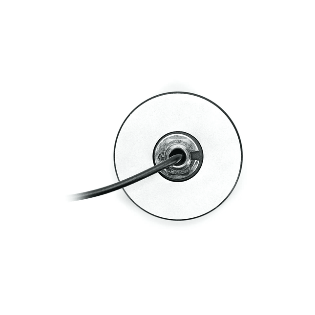 Beetle WiFi 6E/7 Antenna