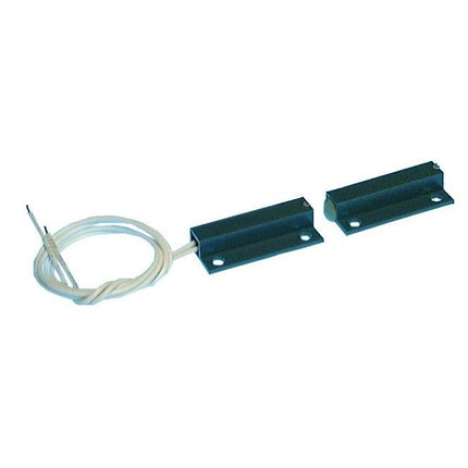 Reed Switch with Leads