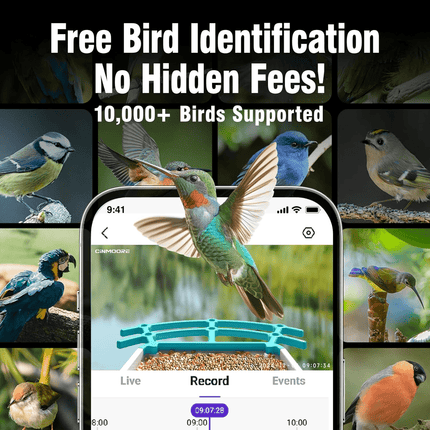 4MP WiFi Solar Bird Feeder Camera, includes Solar Panel