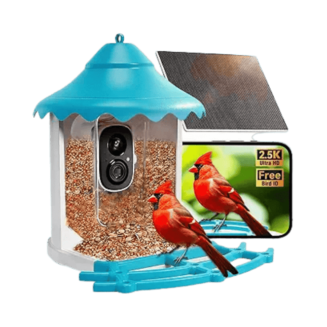 4MP WiFi Solar Bird Feeder Camera, includes Solar Panel
