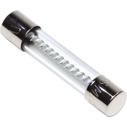 8 Amp Slow-Blow Glass Tube Fuses – Box of 100 Closeout Special