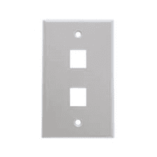 2-Port Stainless Steel Wall Plate